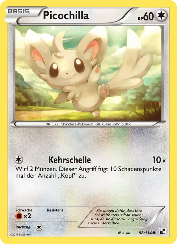 Picochilla, Schwarz & Weiß Nº 88