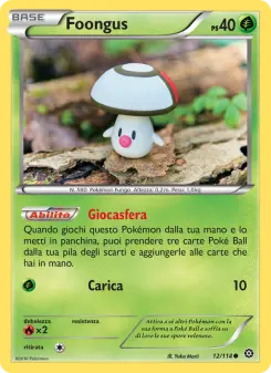 Foongus, Vapori Accesi No. 12 Normal