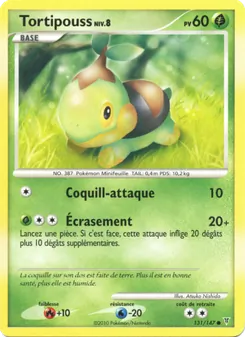 Tortipouss, Vainqueurs Suprêmes No. 131 Holo