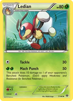 Ledian, XY No. 7
