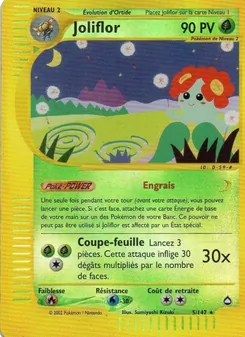 Joliflor, Aquapolis No. 5 Normal