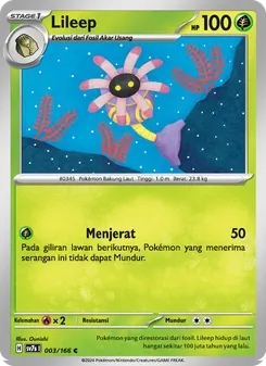 Lileep, Bimbingan Rasi No. 003 Normal