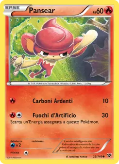 Pansear, XY No. 22 Normal