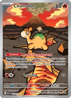 Chamallot, Héros Transcendants No. 223 Holo