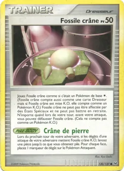 Fossile crâne, Platine No. 120 Normal
