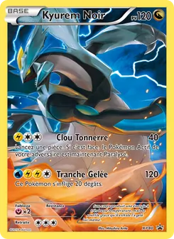 Kyurem Noir, Promo XY No. XY80 Normal