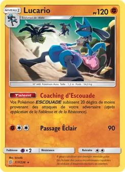 Lucario, Harmonie des Esprits No. 117 Normal