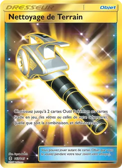 Nettoyage de Terrain, Gardiens Ascendants Nº 163 Normal