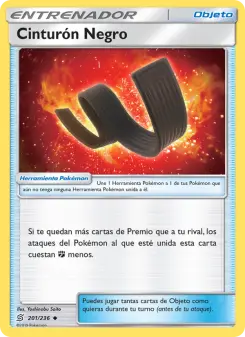 Cinturón Negro, Mentes Unidas Nº 201 Normal