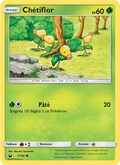 Chétiflor, Tempête Céleste Nº 1