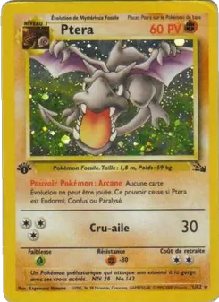 Ptera, Fossile No. 1