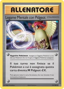 Legame Mentale con Pidgeot, Evoluzioni Nº 81 Normal