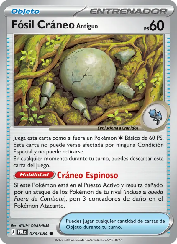 Fósil Cráneo Antiguo, Oscuridad Absoluta No. 073