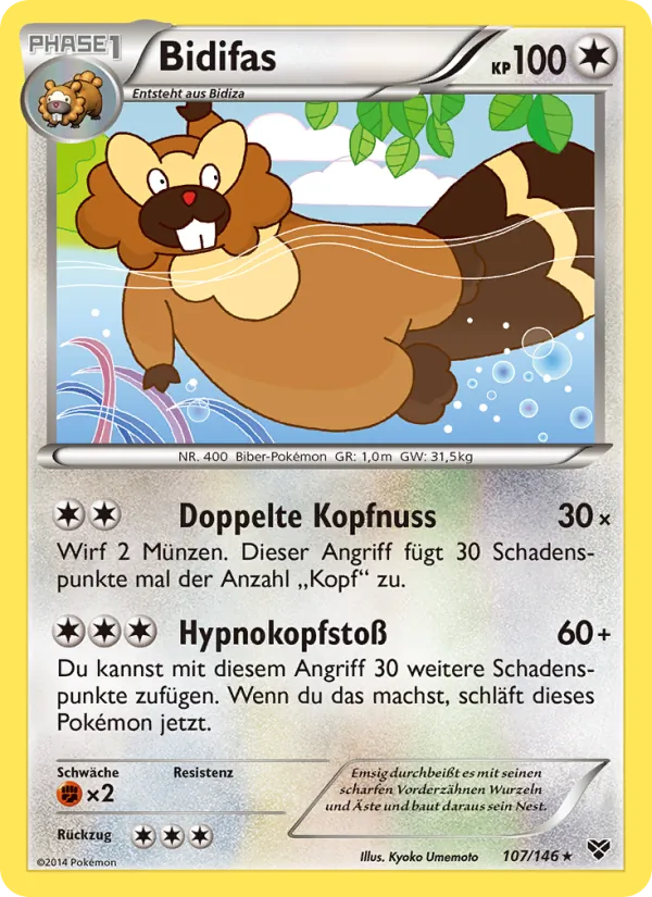 Bidifas, XY No. 107
