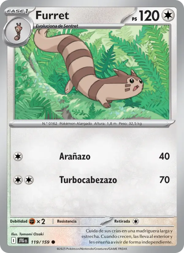 Furret, Juntos de Aventuras Nº 119