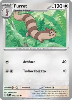 Furret, Juntos de Aventuras Nº 119 Normal