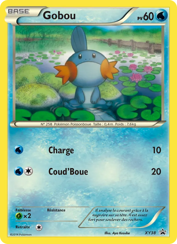 Gobou, Promo XY Nº XY38