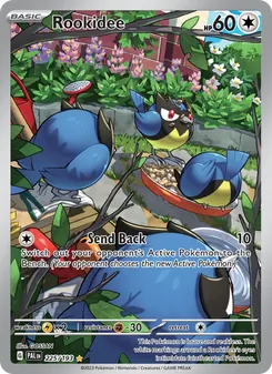 Rookidee, Paldea Evolved No. 225 Holo