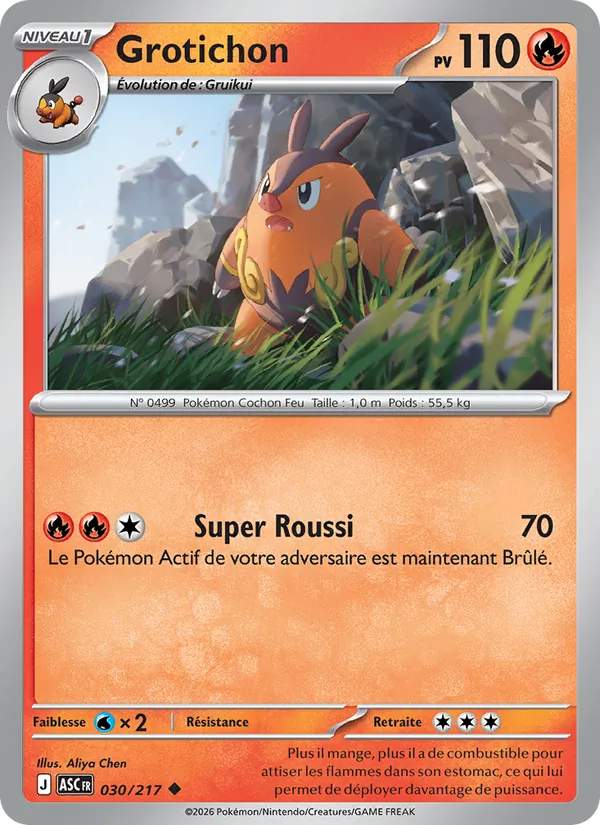 Grotichon, Héros Transcendants No. 030