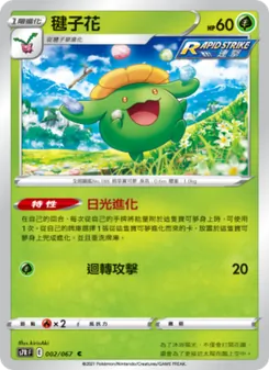 毽子花, 蒼空烈流 Nº 002