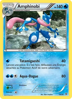Amphinobi, Bienvenue à Kalos Nº 14 Normal