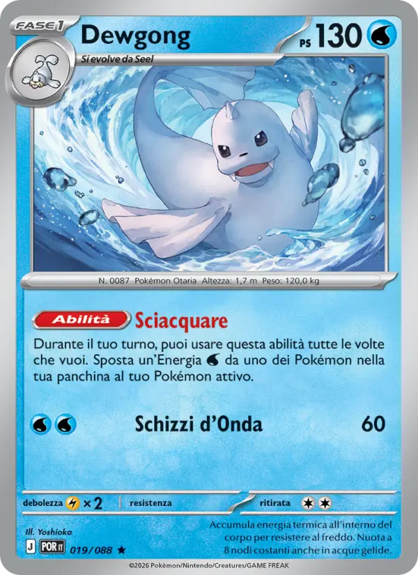 Dewgong, Equilibrio Perfetto Nº 019