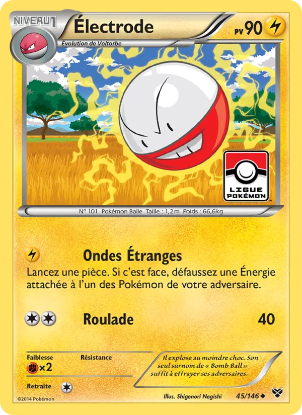 Électrode, XY Nº 45