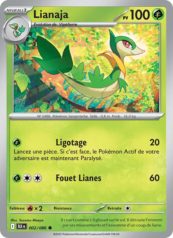 Lianaja, Foudre Noire Nº 002
