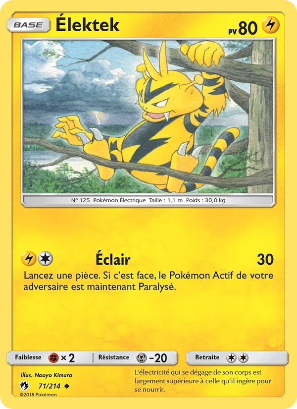 Élektek, Tonnerre Perdu No. 71