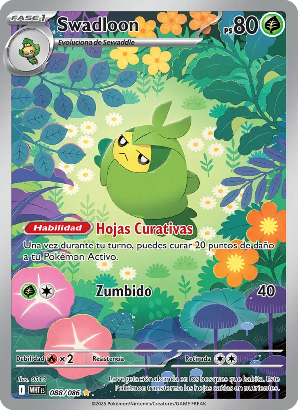 Swadloon, Llama Blanca No. 088