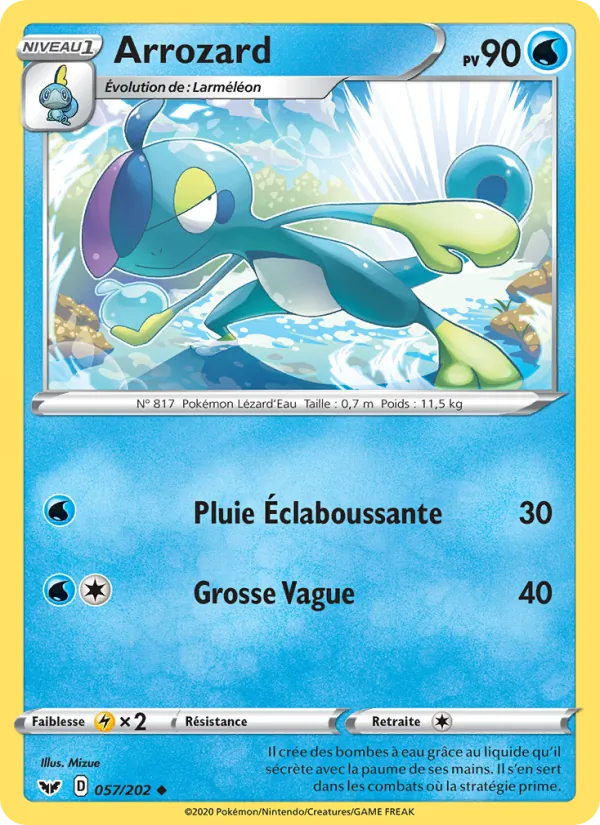 Arrozard, Épée et Bouclier Nº 57