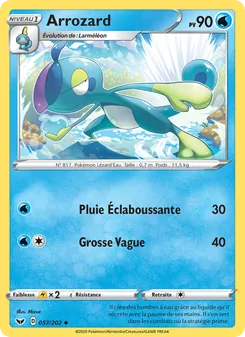 Arrozard, Épée et Bouclier No. 57 Normal