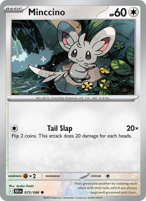 Minccino, Black Bolt No. 075