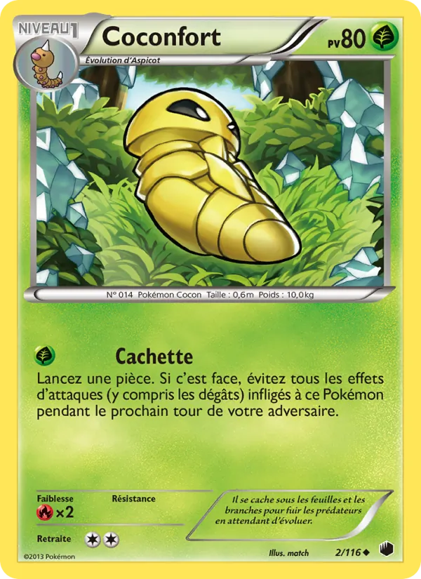 Coconfort, Glaciation Plasma No. 2