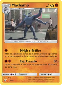 Machamp, Detective Pikachu No. 13 Normal