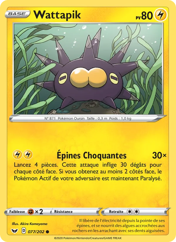 Wattapik, Épée et Bouclier Nº 77