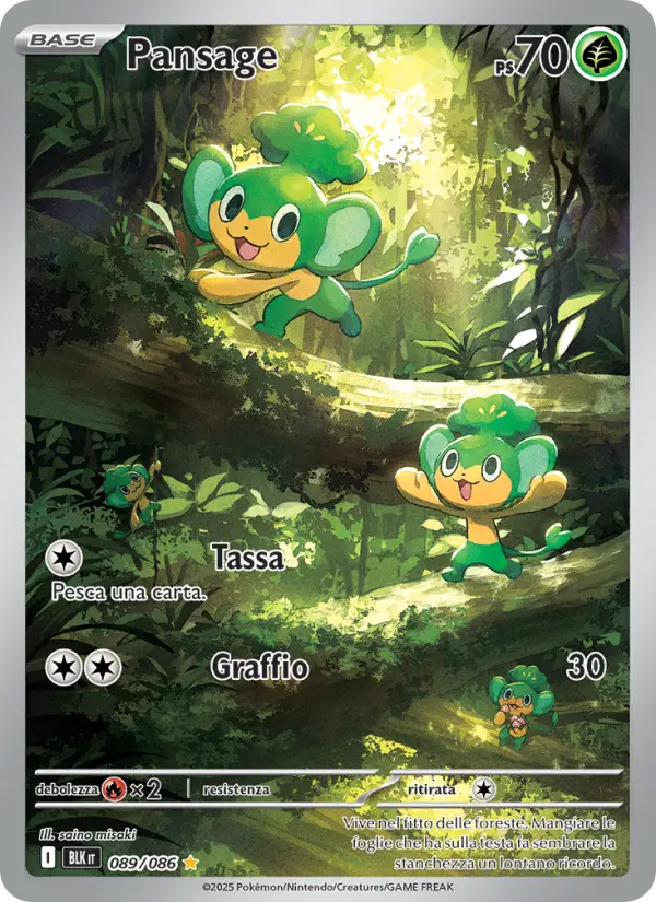 Pansage, Luce Nera No. 089