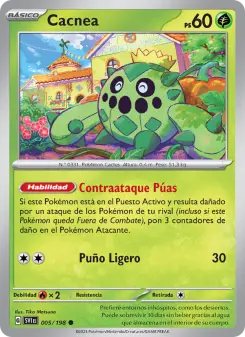 Cacnea, Escarlata y Púrpura No. 005