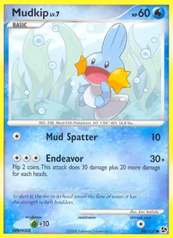 Mudkip, Great Encounters No. 80 Normal