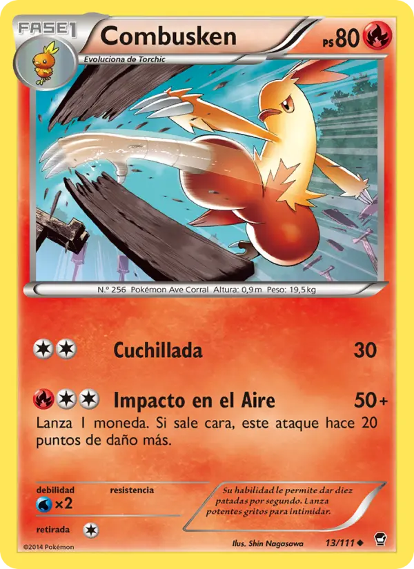 Combusken, Puños Furiosos No. 13