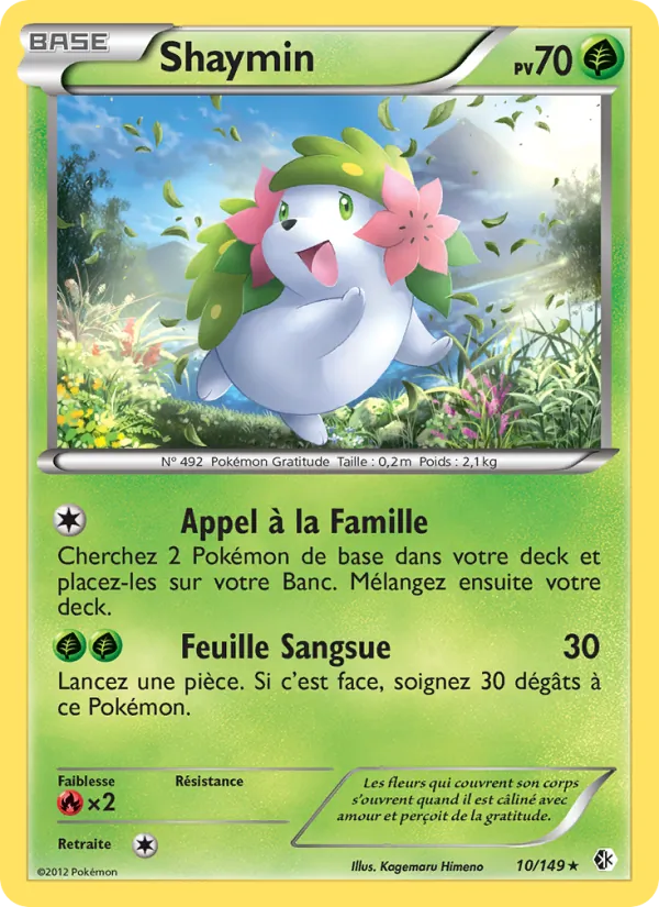 Shaymin, Frontières Franchies No. 10