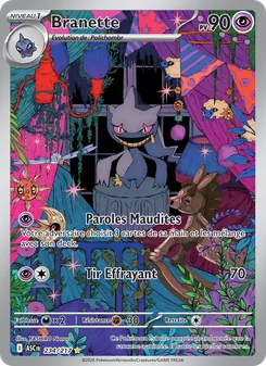 Branette, Héros Transcendants Nº 234 Holo