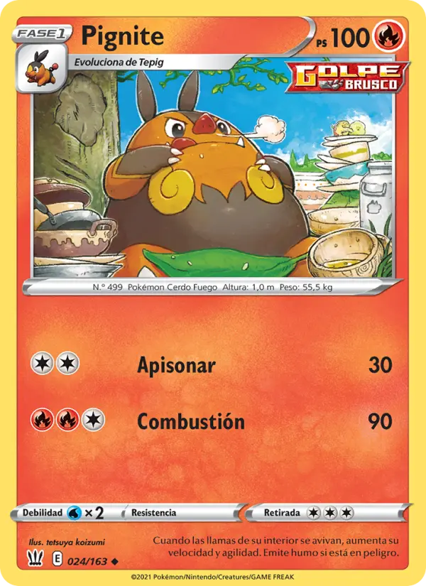 Pignite, Estilos de Combate No. 24