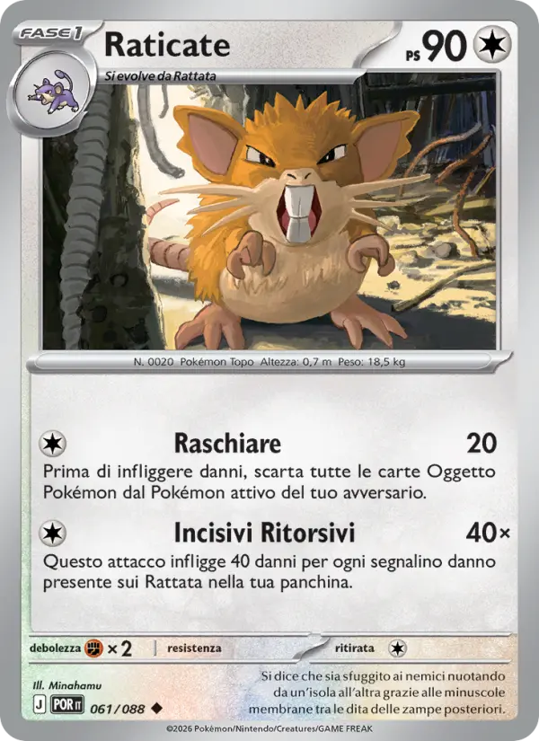 Raticate, Equilibrio Perfetto No. 061