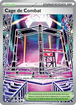 Cage de Combat, Flammes Fantasmagoriques Nº 116 Holo